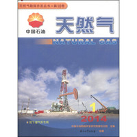 天然气勘探开发丛书（第10卷）：天然气（2014第1册）