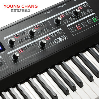 YOUNG CHANG 英昌 SP1 舞台电钢 SP1 简便易操作的舞台MIDI控制器