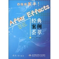 After Effects经典案例荟萃（附光盘）