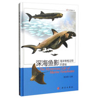 生命奥秘丛书:深海鱼影(海洋脊椎动物的奥秘)