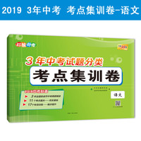天利38套 对接中考 3年中考真题考点分类集训卷 2019中考必备--语文