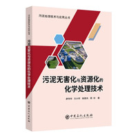 污泥无害化与资源化的化学处理技术