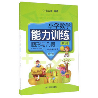 小学数学能力训练系列：图形与几何（第二册 二、三年级学生适用 套装共2册）