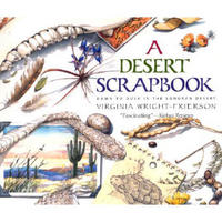 A Desert Scrapbook: Dawn to Dusk in the Sonoran Desert