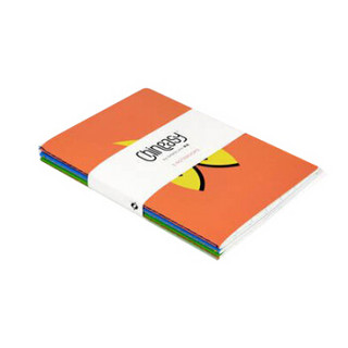 Chineasy Notebooks 中文不难：笔记本