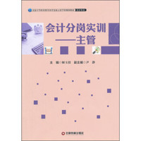 会计分岗实训 主管