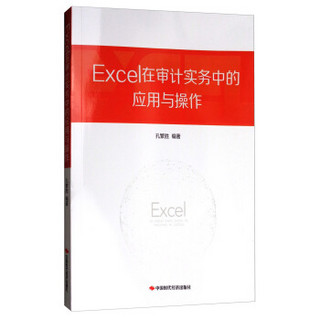 Excel在审计实务中的应用与操作(附光盘)
