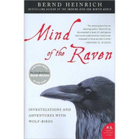 Mind of the Raven