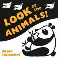 Look at the Animals  看动物