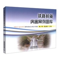 铁路桥隧病害案例图库
