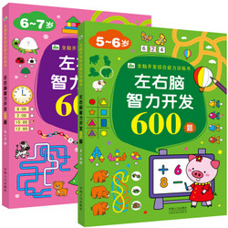 5-7岁左右脑智力开发1200题 （套装2册）儿童智力开发书