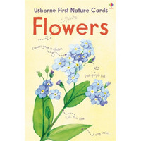 Nature Cards: Flowers (Cards)