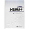 中国发展报告2013