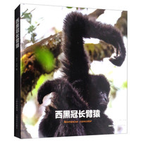 西黑冠长臂猿