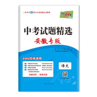 天利38套 中考试题精选 安徽专版 2020中考适用--语文