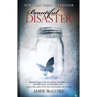 Beautiful Disaster