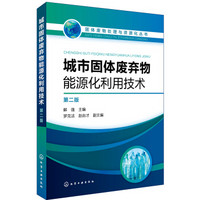 固体废物处理与资源化丛书--城市固体废弃物能源化利用技术（第二版）