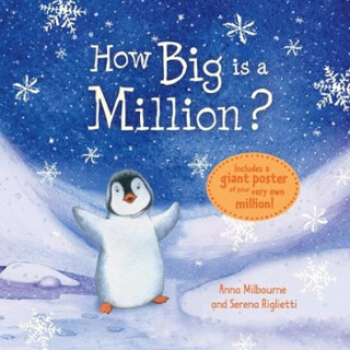 How Big Is a Million? (Padded Hardback)