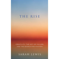 The Rise: Creativity， The Gift Of Failure， And The Search For Mastery