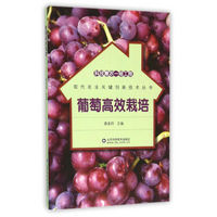 科技惠农一号工程：葡萄高效栽培