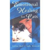 Emotional Healing for Cats