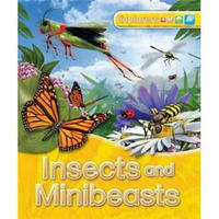 Explorers: Insects and Minibeasts