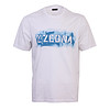 Z Zegna 杰尼亚 19春夏新品 男士白底浅蓝色印花图案棉质圆领短袖T恤 VS372ZZ630A6A7 S码