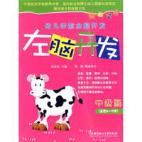 幼儿学前全脑开发：左脑开发（中级篇）（适合4～5岁）