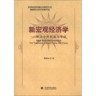 新宏观经济学：理论分析框架与学说