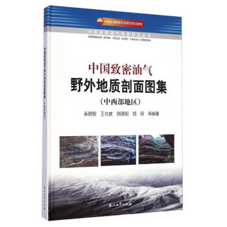 中国致密油气地质研究丛书：中国致密油气野外地质剖面图集（中西部地区）