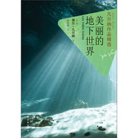 凡尔纳作品精选:美丽的地下世界