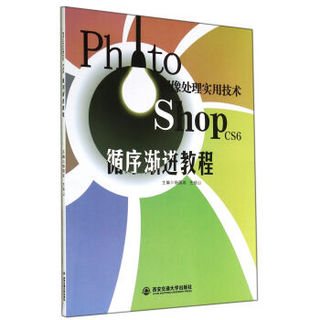 Photoshop CS6图像处理实用技术循序渐进教程
