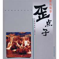 大数码系列:数码摄影歪点子