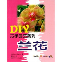 DIY巧手园艺系列：兰花