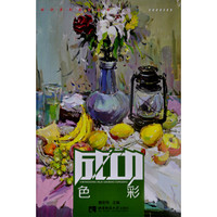 成功系列高考丛书:色彩