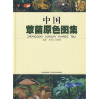 中国蕈菌原色图集