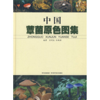 中国蕈菌原色图集