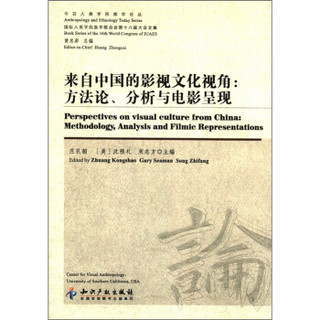 来自中国的影视文化视角：方法论、分析与电影呈现