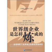 世界级企业是怎样炼成的：全球视野下世界级企业最佳实践研究