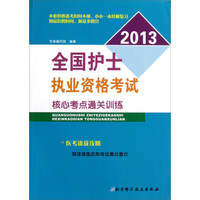 全国护士执业资格考试核心考点通关训练(2013)