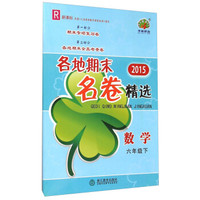 2015各地期末名卷精选：数学（六年级下 R 新课标）