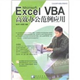 办公软件系列：Excel VBA 高效办公范例应用（附光盘1张）