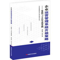 企业发展跨越之路·赛太阳系列丛书：企业运营管理系统升级策略（策略与方法实战案例）