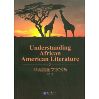Understanding African American Literature 非裔美国文学赏析