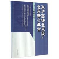 北京文物与考古系列丛书·京沪高铁北京段与北京新少年宫：考古发掘报告集