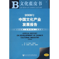 2008年中国文化产业发展报告（附光盘）