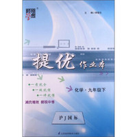 经纶学典·提优作业本：化学9年级（下）（沪J国标）（2013）