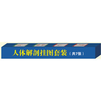 人体解剖挂图(套装共7张)