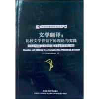 文学翻译：比较文学背景下的理论与实践