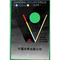 中国消费函数分析